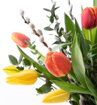 Tulipanbukett med gåsunger i varme farger